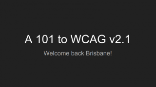 101wcag