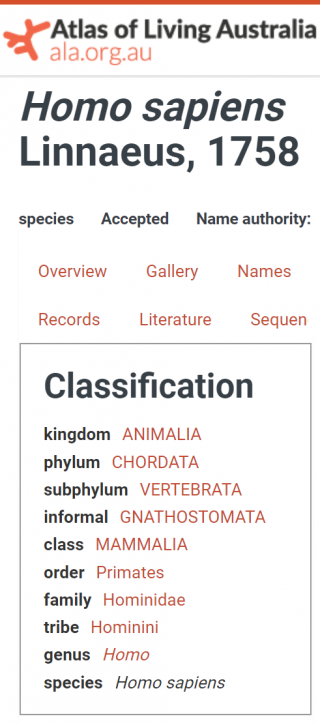 A classification hierarchy for Homo sapiens, from the Atlas of Living Australia