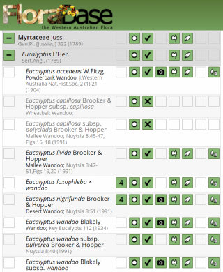 An example FloraBase query return