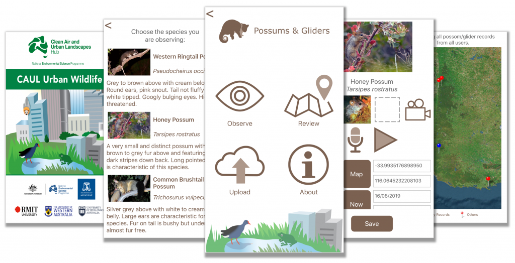 CAUL Urban Wildlife app - Possum and Glider module 