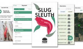 Screenshots from the Slug Sleuth app