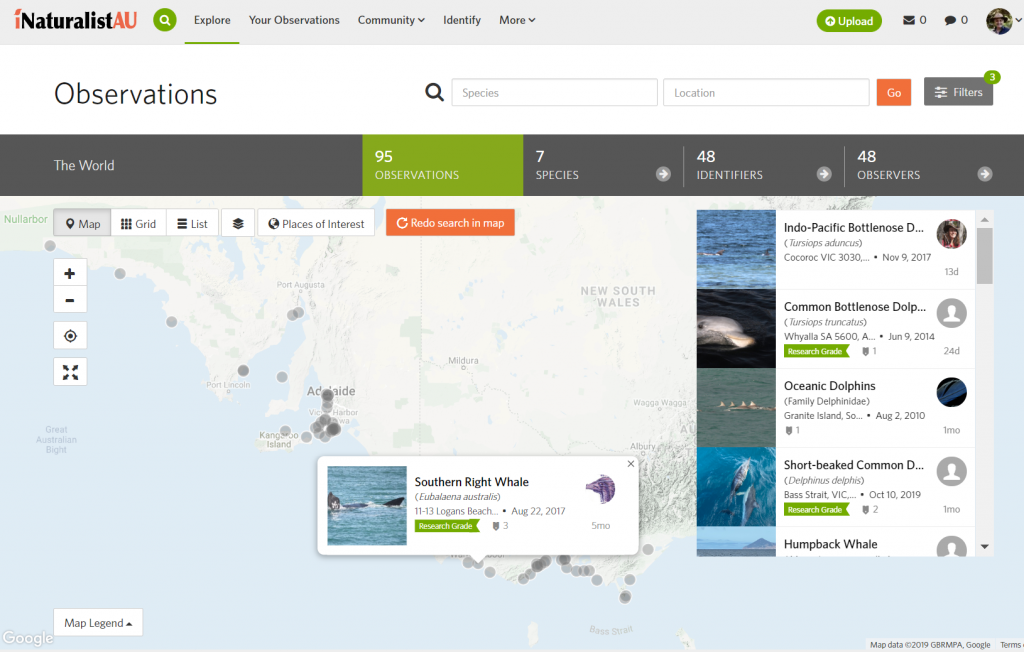 iNaturalist - Dolphin project map