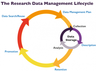 The Research Data Management Life Cycle