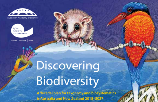 Taxonomy Australia's Decal Plan cover